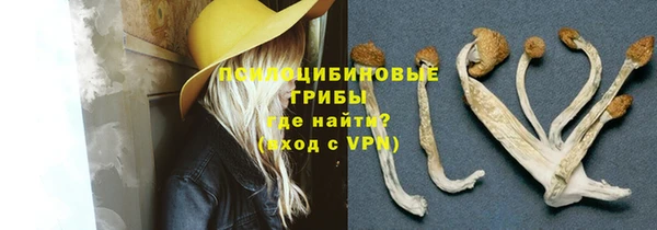 трава Лабытнанги
