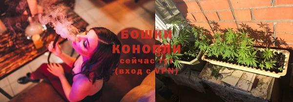 спиды Лагань