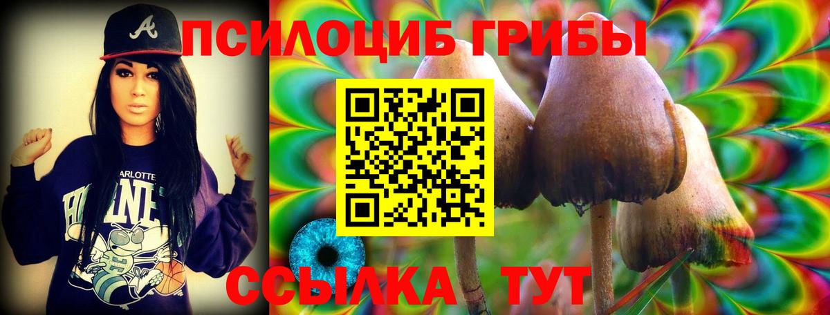 Лиски  Псилоцибиновые грибы мицелий  Вход с VPN  Галлюциногенные грибы MAGIC MUSHROOMS 
