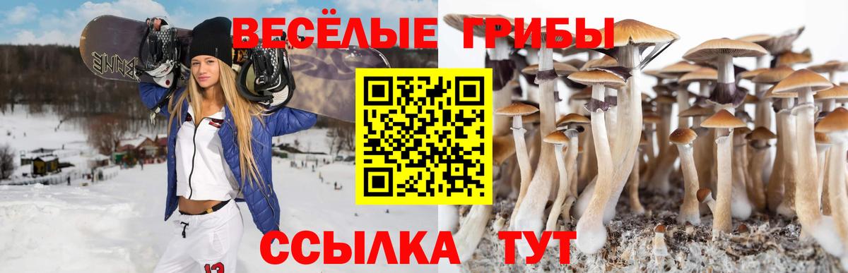 Галлюциногенные грибы Magic Shrooms Лиски